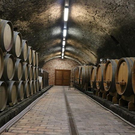 Villa Tolnay Vendeghaz Gyulakeszi エクステリア 写真