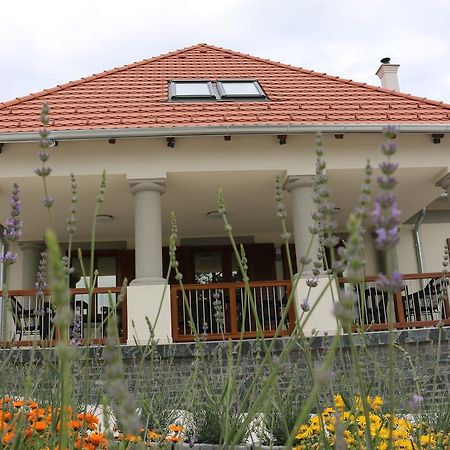 Villa Tolnay Vendeghaz Gyulakeszi エクステリア 写真
