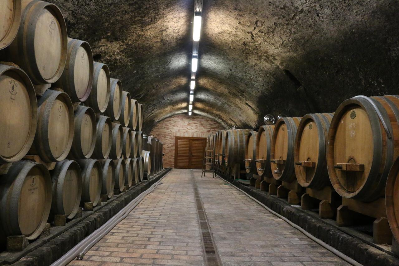 Villa Tolnay Vendeghaz Gyulakeszi エクステリア 写真