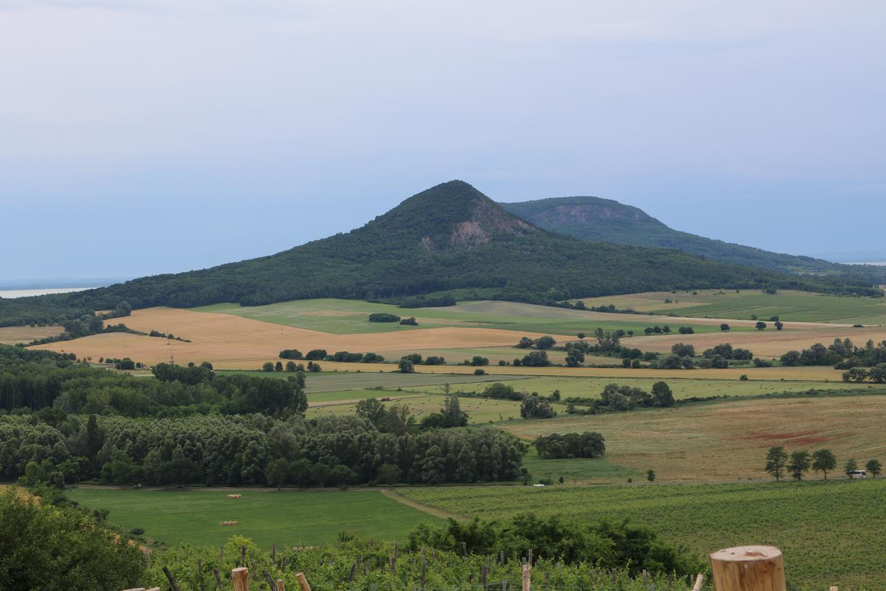 Villa Tolnay Vendeghaz Gyulakeszi エクステリア 写真