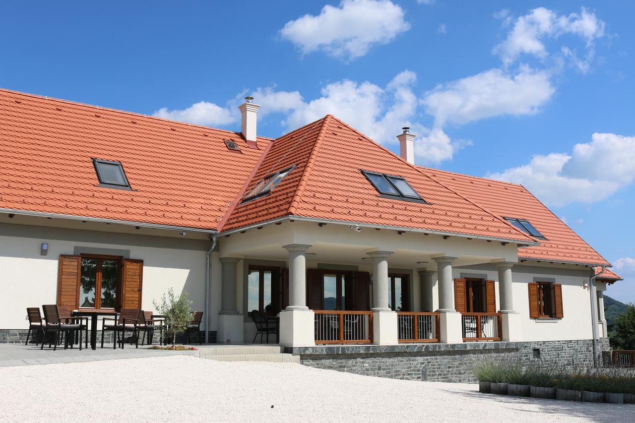 Villa Tolnay Vendeghaz Gyulakeszi エクステリア 写真