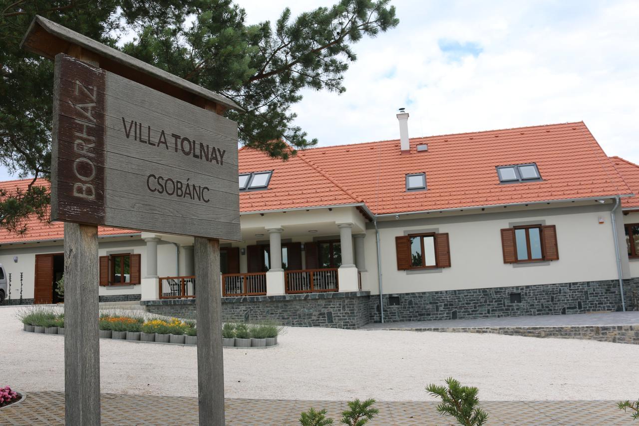 Villa Tolnay Vendeghaz Gyulakeszi エクステリア 写真
