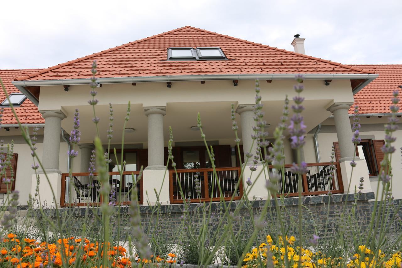 Villa Tolnay Vendeghaz Gyulakeszi エクステリア 写真