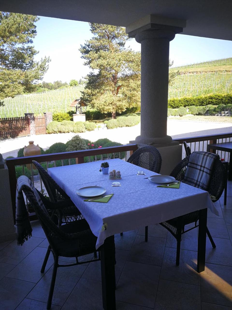 Villa Tolnay Vendeghaz Gyulakeszi エクステリア 写真